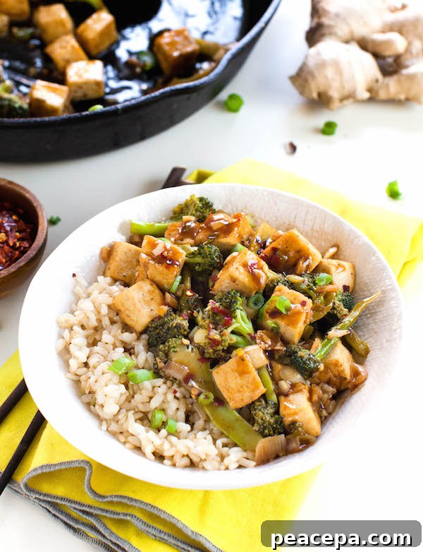 Crispy Tofu and Broccoli Stir-Fry with Garlic Ginger Sauce 2 Broccoli Stir Fry with Crispy Tofu
