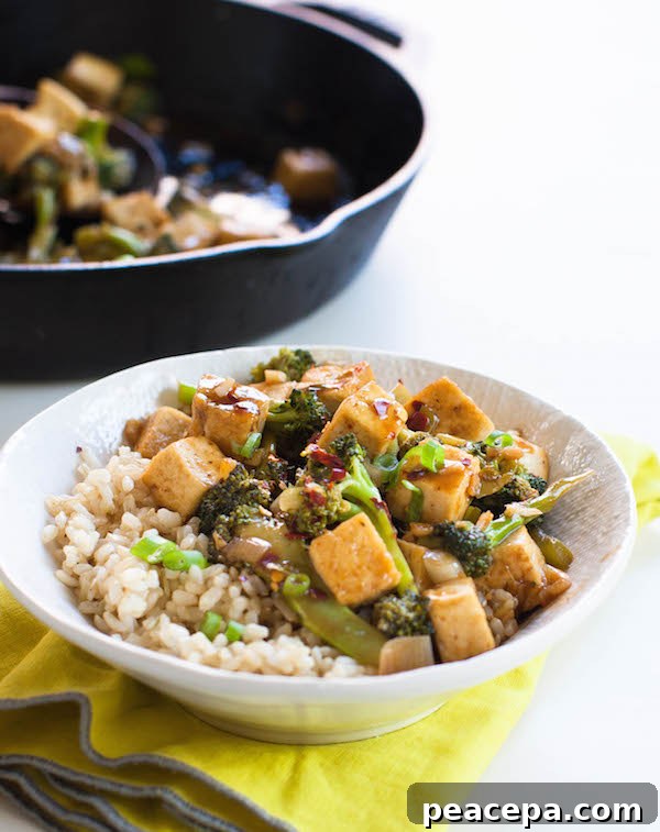 Crispy Tofu and Broccoli Stir-Fry with Garlic Ginger Sauce 3 Broccoli Stir Fry with Crispy Tofu