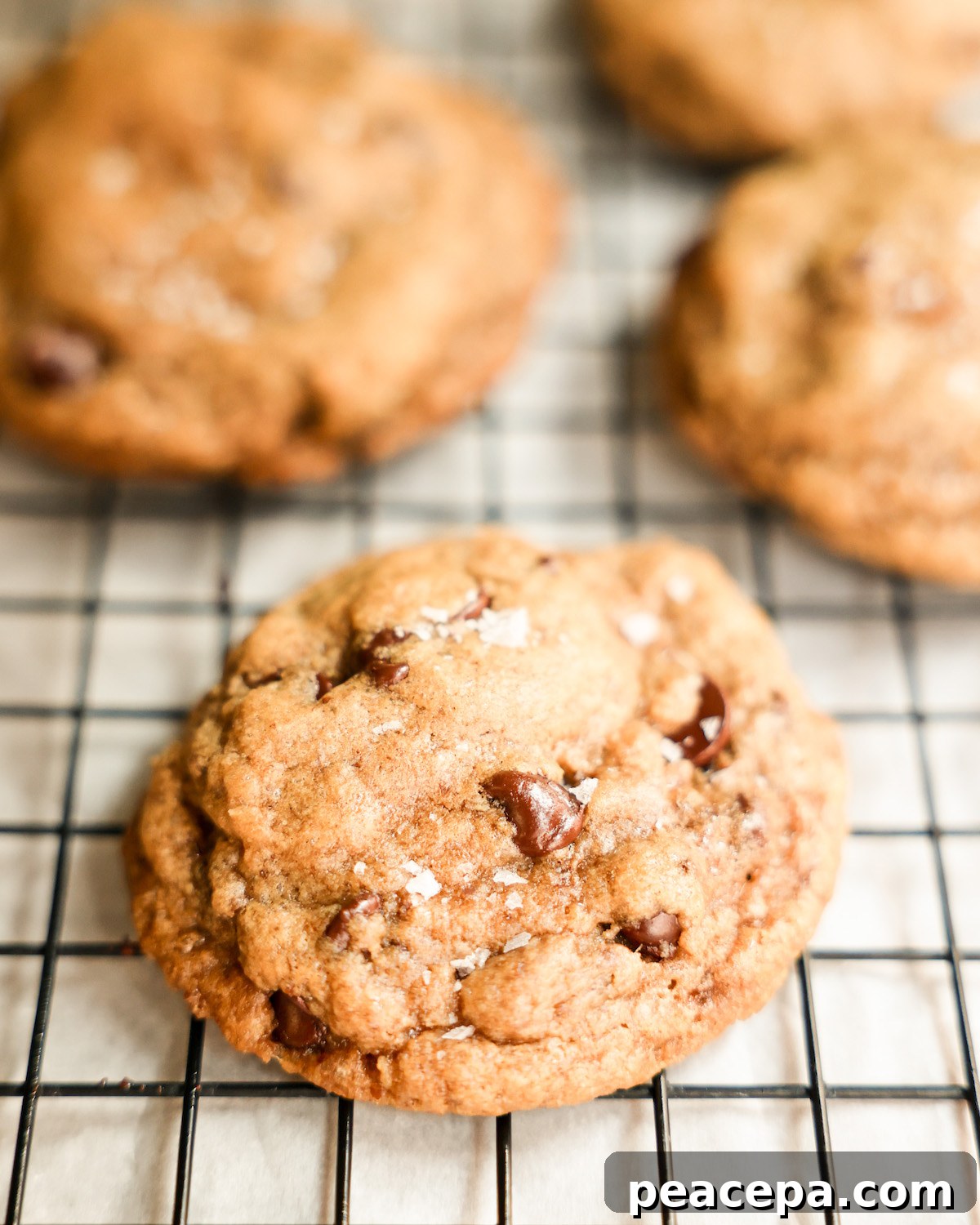 vegan chocolate chip cookies on cooling rack