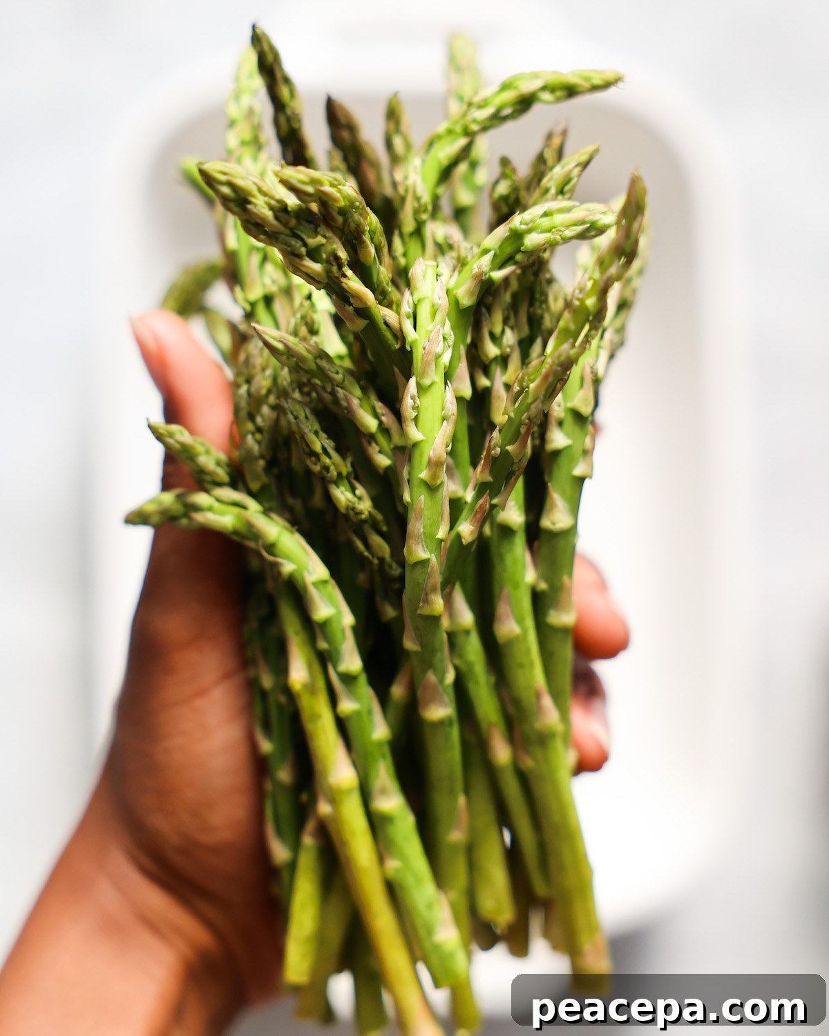 hand holding bunch of asparagus