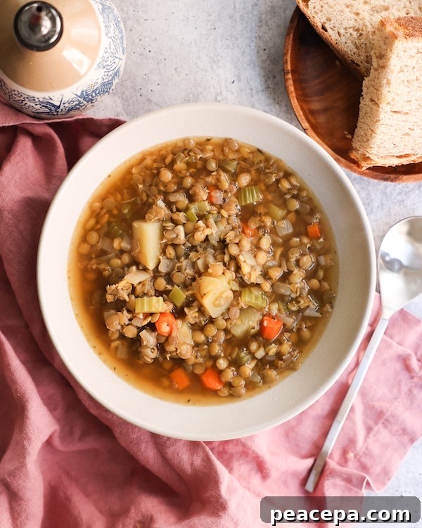 Vegan lentil soup
