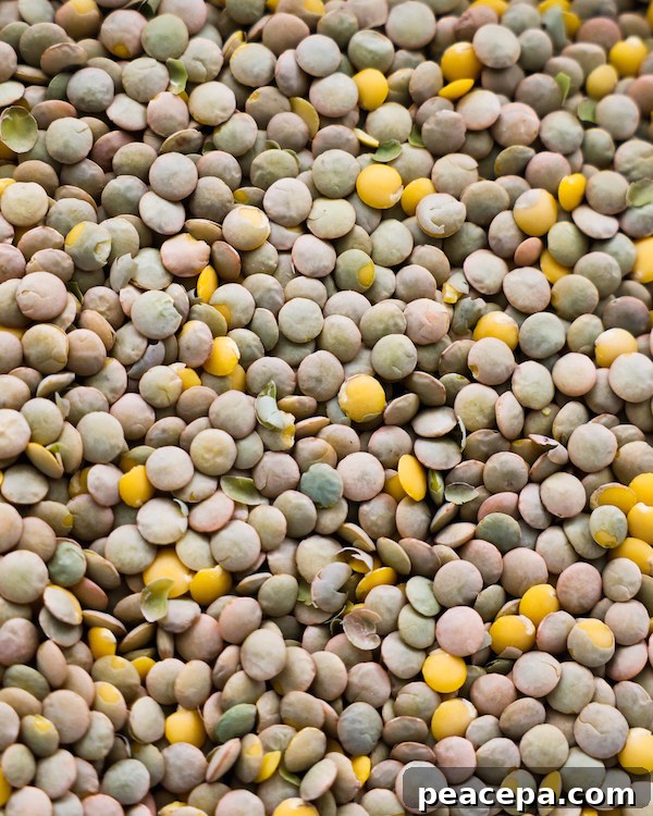 Raw lentils close up