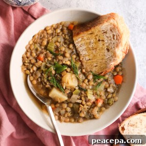 Vegan lentil soup