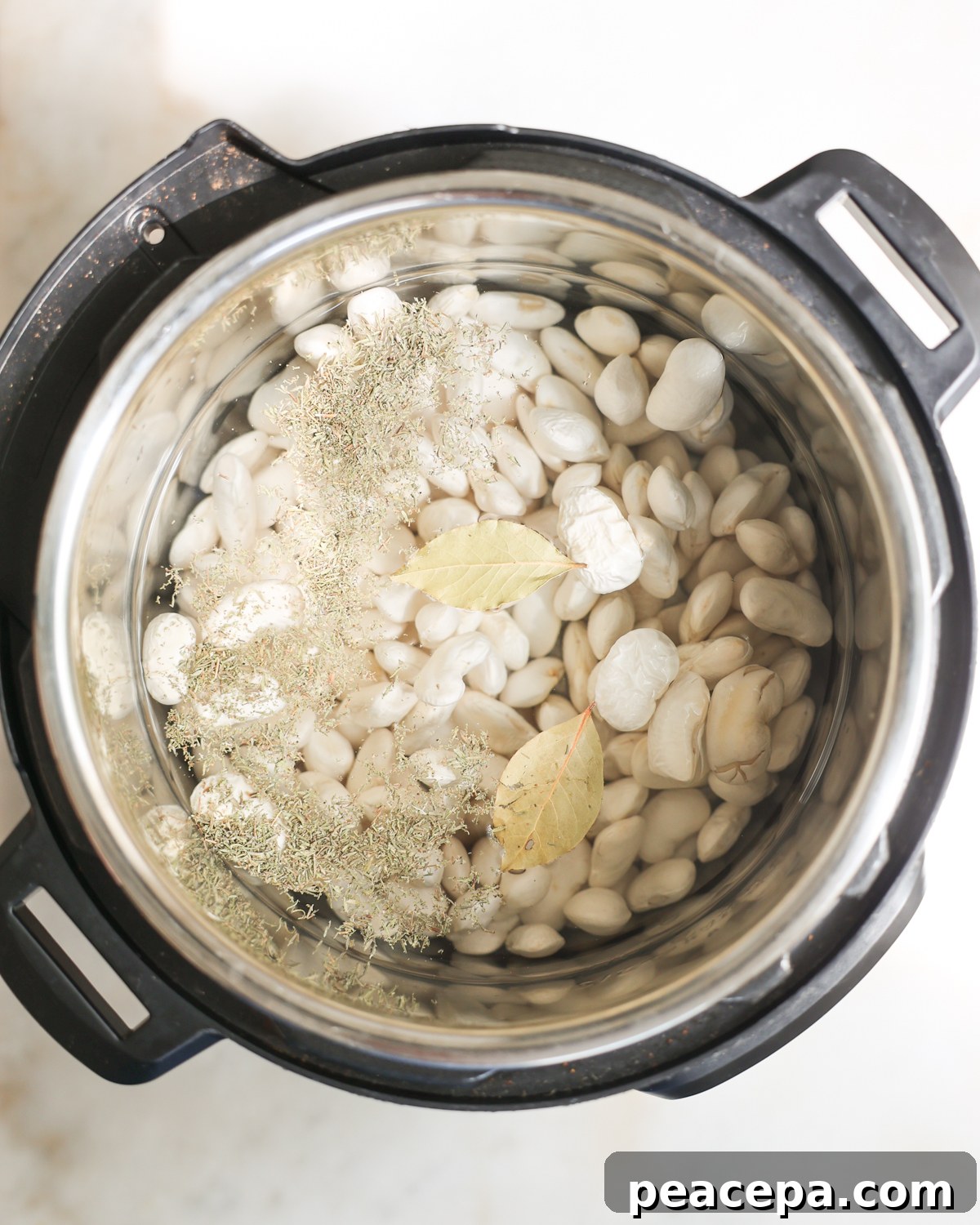 raw beans and herbs in instant pot