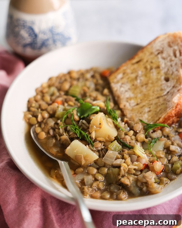 Vegan lentil soup